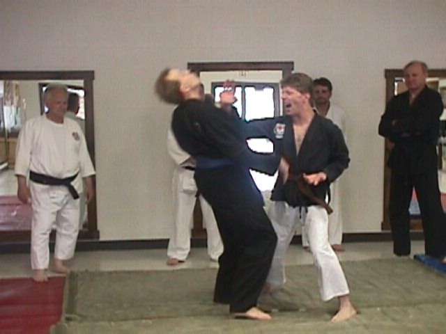 Mark Torok Striking Ted with Teisho